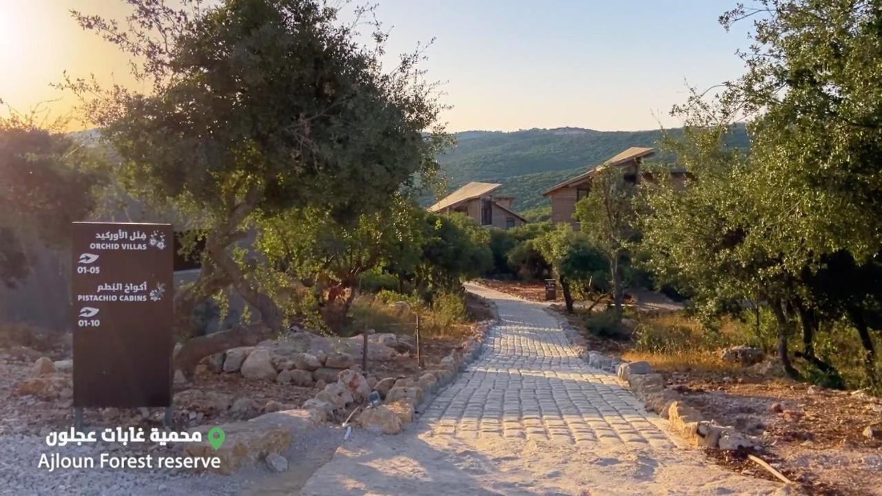 Ajloun Forest Reserve Jarash Exterior foto