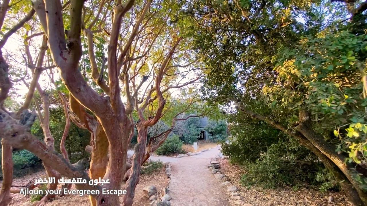 Ajloun Forest Reserve Jarash Exterior foto