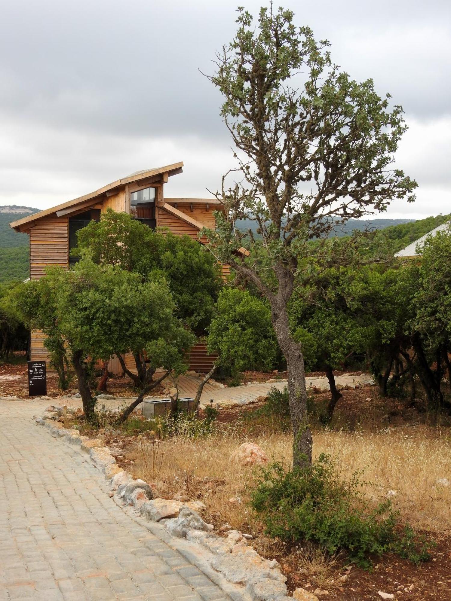 Ajloun Forest Reserve Jarash Exterior foto