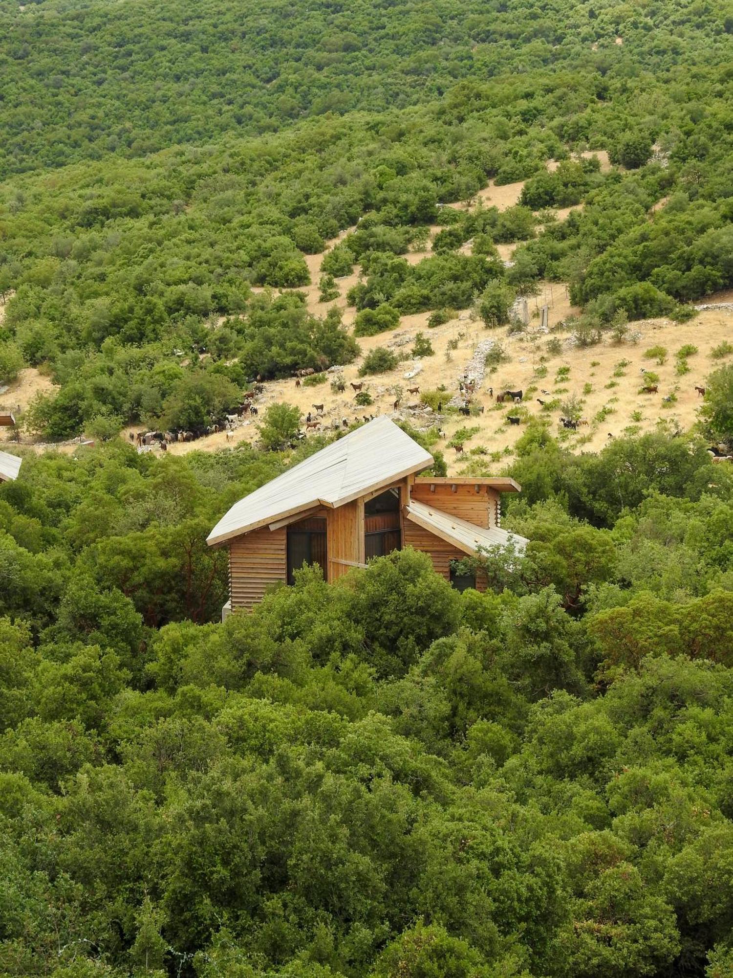 Ajloun Forest Reserve Jarash Exterior foto