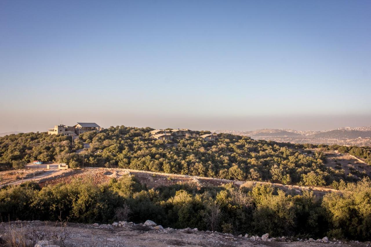 Ajloun Forest Reserve Jarash Exterior foto