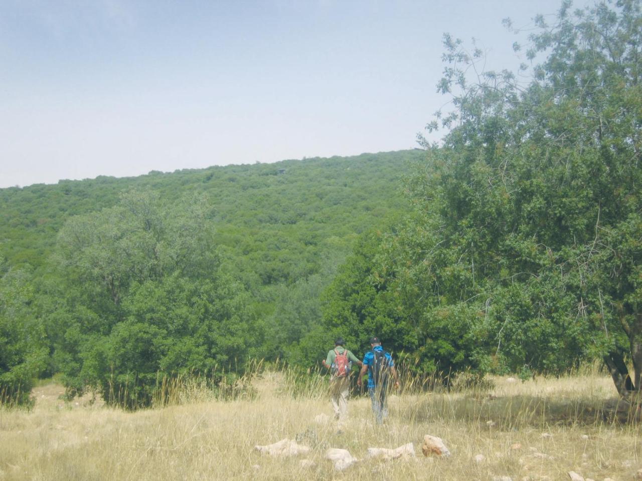 Ajloun Forest Reserve Jarash Exterior foto