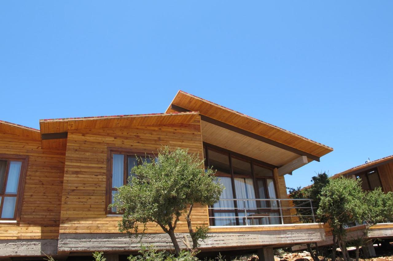 Ajloun Forest Reserve Jarash Exterior foto