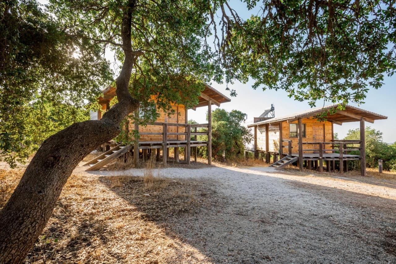 Ajloun Forest Reserve Jarash Exterior foto